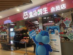 门面-盒马鲜生(宝地店)