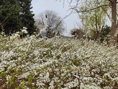 -北京西山国家森林公园