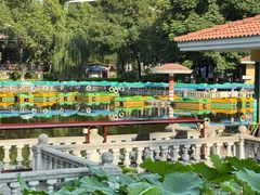 -绵阳人民公园(涪城区)