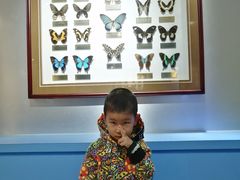 -上海昆虫博物馆