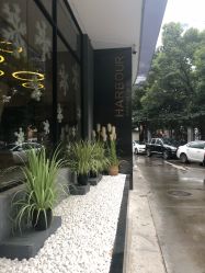 -海豚湾高端月子会所(黄浦店)