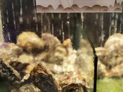 -珍宝轩海鲜火锅(碧湖大厦店)