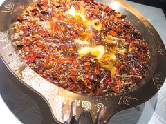 -雲蜀龙阁·金牌水煮鱼(方庄店)