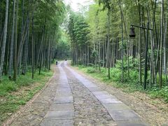 -黄公望隐居地