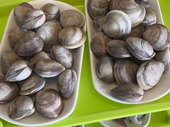 -15年老字号鑫鑫猪肚鸡·椰子鸡海南火锅(兴隆华侨农场店)