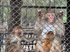 -长白岛森林公园