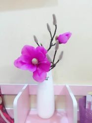 -香薇妮丝·定制减肥·身材管理