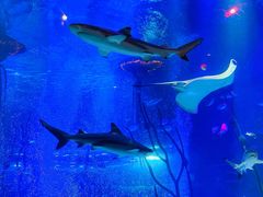 -沈阳海洋探索中心