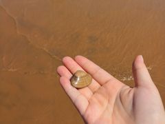 -青岛银沙滩