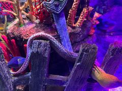 -沈阳海洋探索中心