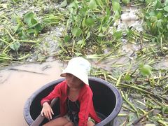 -洞里萨湖