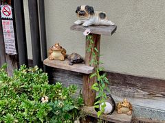 -京都冈本和服体验租赁店(清水寺店)