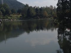 -四明山国家森林公园