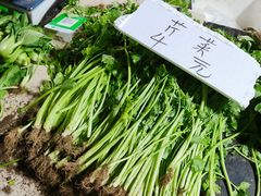 -大商机场前石材建材家具大市场