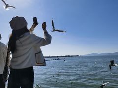 -滇池海埂公园