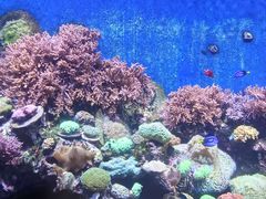 -珠海长隆海洋王国