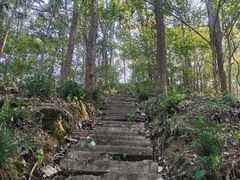 -素山寺森林公园