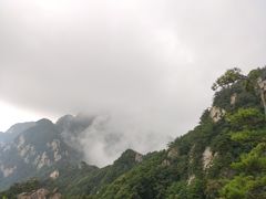 -王顺山国家森林公园