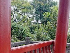 -海南铜鼓岭景区