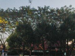 -玛扎烧烤私房菜