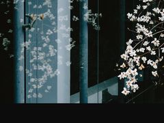 -南京晨光1865创意产业园