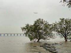 -宝安西湾红树林湿地公园