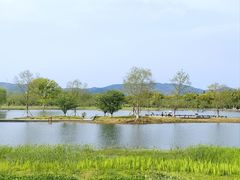 -良渚古城遗址公园