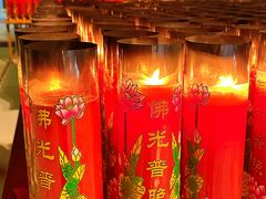 -亭林园-华藏寺