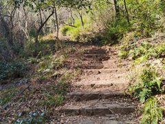 -苏州上方山国家森林公园
