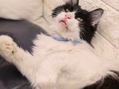 -平行世界·猫咖(首经贸店)