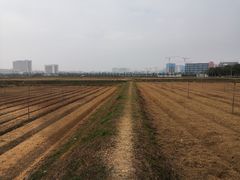 -光明小镇欢乐田园