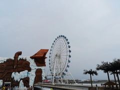 -秦皇岛乐岛海洋王国