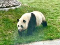 -西安秦岭野生动物园