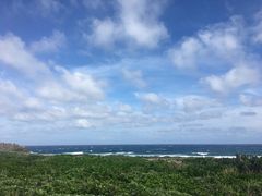 -龙坑生态保护区