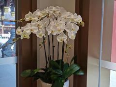 -Peet's Coffee皮爷咖啡(豫园店)