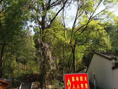 -白鹿洞书院