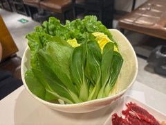 -食潮汕头鲜牛馆(望京保利店)