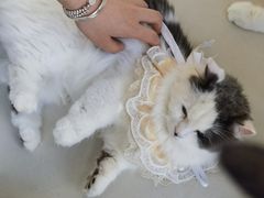 -怪兽屋·羊驼·猫咖·狗咖(俊华广场店)