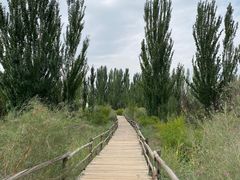 -黄沙古渡原生态旅游区