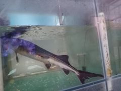 -云鱿记鱿鱼鸡·野生菌火锅(人民南路店)
