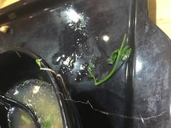 -百年尹氏汤包(湖南路狮子桥店)