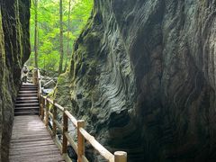 -牛背梁国家森林公园