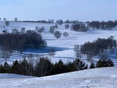 -塞罕坝国家级自然保护区
