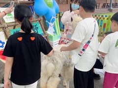 -太阳岛度假酒店