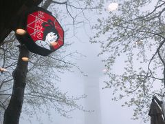 景观位-茶颜悦色(岳麓山顶店)