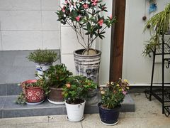 -小陆莲花蟹园农家乐(莲花岛店)