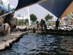 -华夏文旅海洋公园