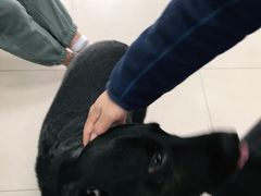 -申普宠物医院·眼科·心内科·影像科(普陀分院)