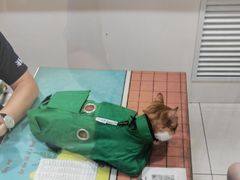 -子乐宠物医院