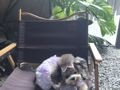 -J Create城市露营咖啡·简餐·宠物(上海动物园店)